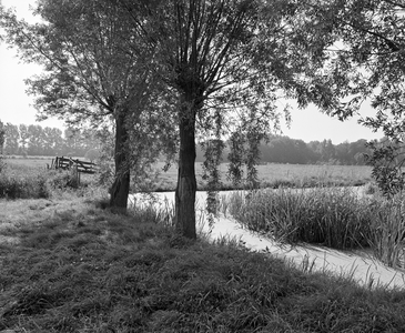 880004 Gezicht op de Kromme Rijn langs het landgoed Amelisweerd te Bunnik.